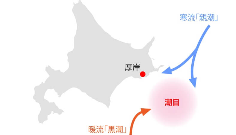 厚岸の気候