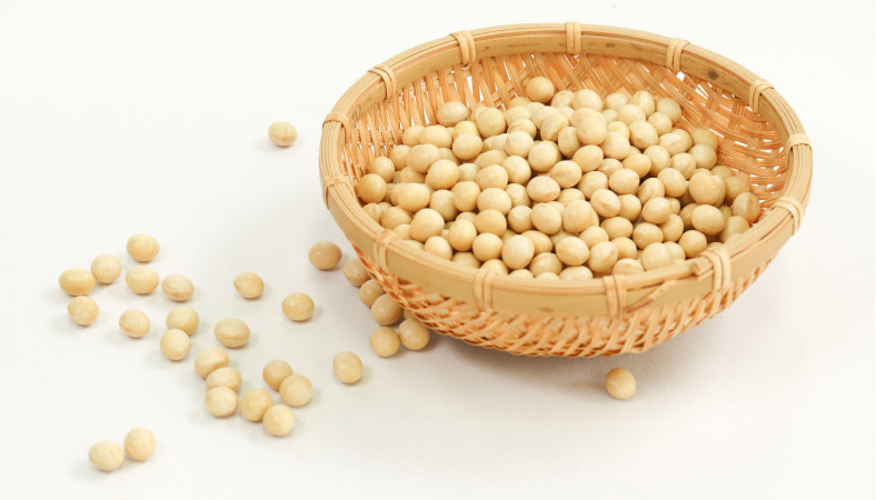大粒で、白く美しい秋田産リュウホウ大豆