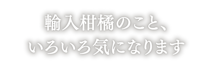 輸入柑橘のこと、いろいろ気になります
