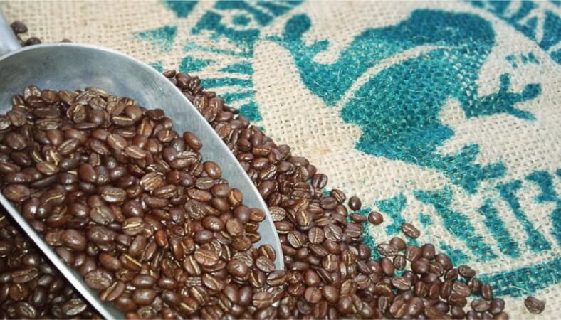 レインフォレスト・アライアンス認証を受けた農園産のコーヒーアラビカ豆100%