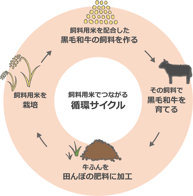 飼料用米でつながる循環サイクル