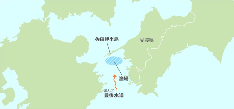 佐田岬半島は、瀬戸内海と太平洋をつなぐ豊後（ぶんご）水道に突出する細長い半島