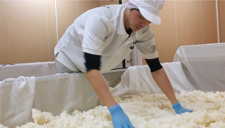 製麹時にゴム手袋を使用しています