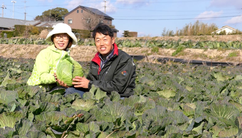 キャベツを栽培する河辺 直司さん、里江さんご夫妻