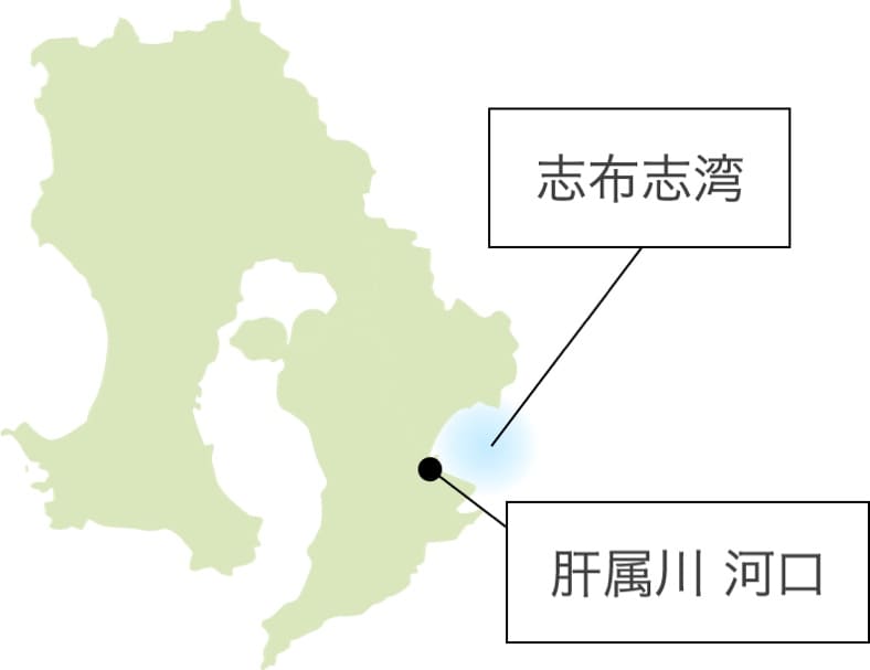 志布志湾