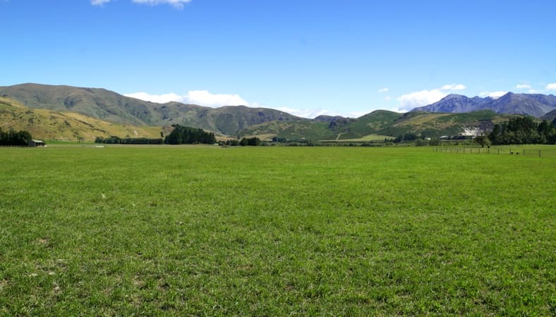 肉牛を育てるのに適した環境にある、酪農・畜産大国ニュージランド。国土の約半分が牧草地になっています。