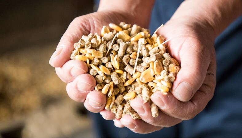飼料用米配合のエサには、カロリーの安定した国産飼料を与えたいという生産者の想いも詰まっています