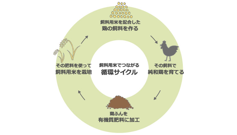 飼料用米でつながる循環サイクル