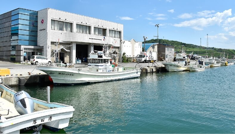 にしん漁が盛んな厚田港にある石狩湾漁業協同組合